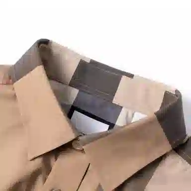 Burberry Classic Check Shirt