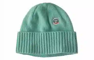 patagonia logo