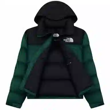 The North Face 700 Down Jacket