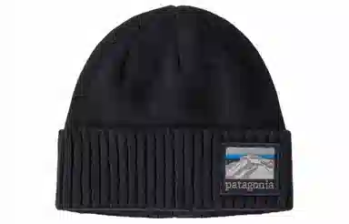 patagonia logo