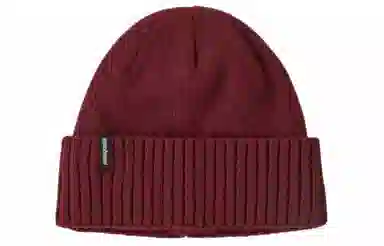 patagonia logo