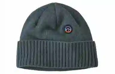 patagonia logo