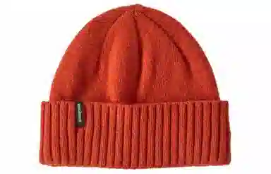 patagonia logo