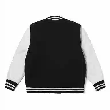 Dickies DK0A87E3