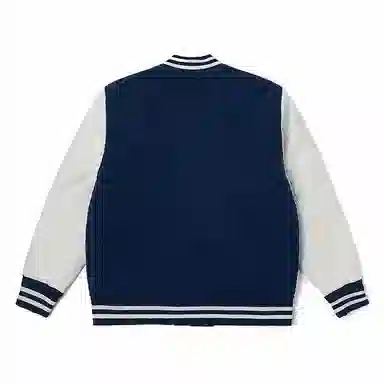 Dickies DK0A87E3