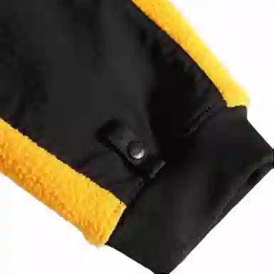 THE NORTH FACE 1995 RETRO DENALI JACKET Denali