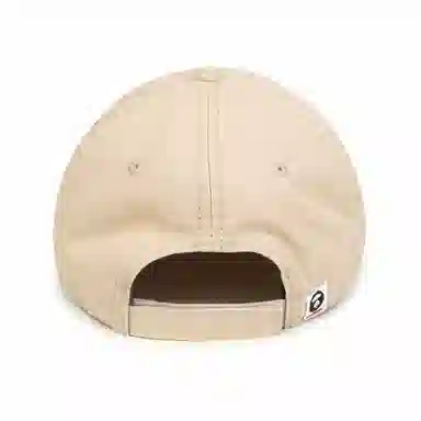 Aape