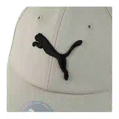 PUMA Cap Grey