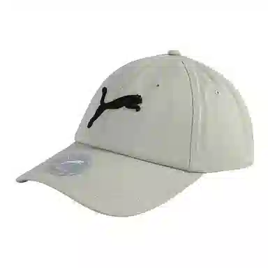 PUMA Cap Grey