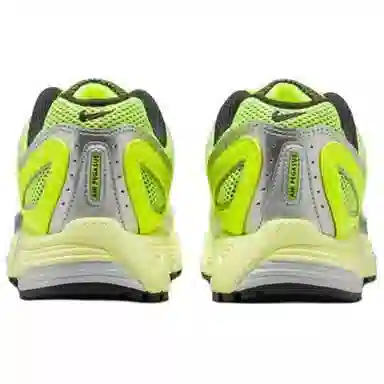 Nike Air Pegasus 2005