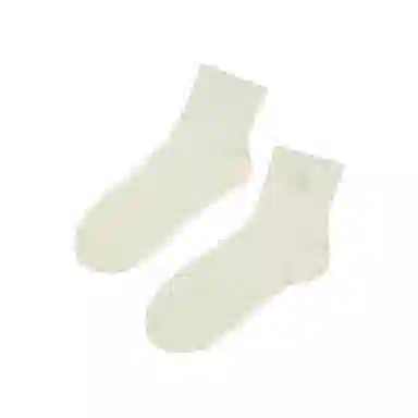 Champion 22 Socks Logo 3