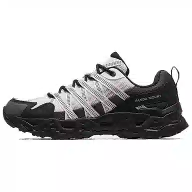 CAMEL Panda Collaboration