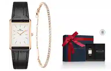 Daniel Wellington 32*22mm