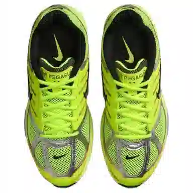Nike Air Pegasus 2005