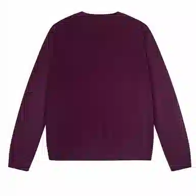 Polo Ralph Lauren FW23 LogoV