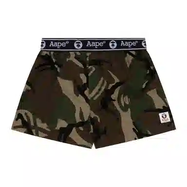 Aape 1