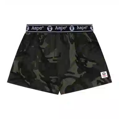 Aape 1