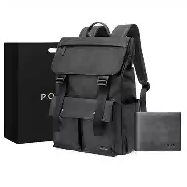 POLO 17.3