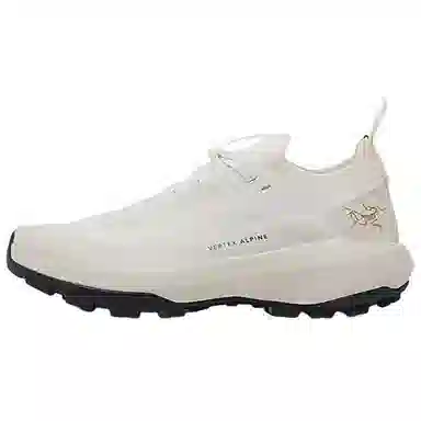 Arcteryx Vertex Alpine GTX