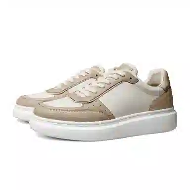 THOM WILLS Trainer