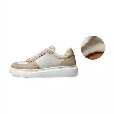 THOM WILLS Trainer