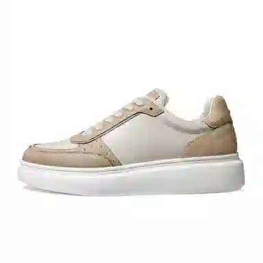 THOM WILLS Trainer