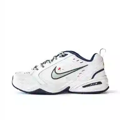 Nike Air Monarch 4 White Green