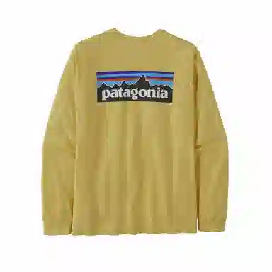 Patagonia P-6 Responsibili Tee