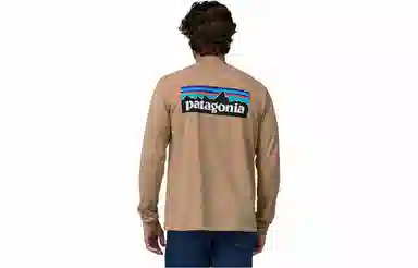Patagonia P-6 Responsibili Tee