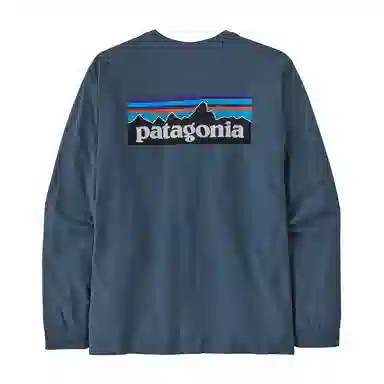 Patagonia P-6 Responsibili Tee