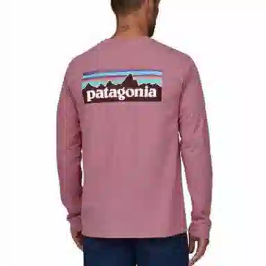 Patagonia P-6 Responsibili Tee