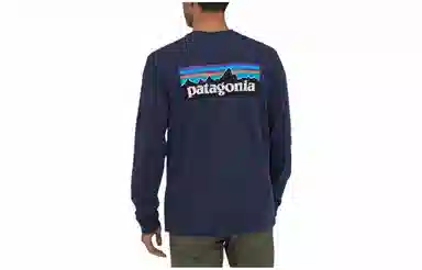 Patagonia P-6 Responsibili Tee