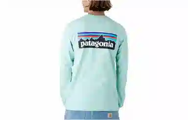 Patagonia P-6 Responsibili Tee
