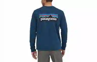 Patagonia P-6 Responsibili Tee
