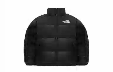 THE NORTH FACE Nuptse 811