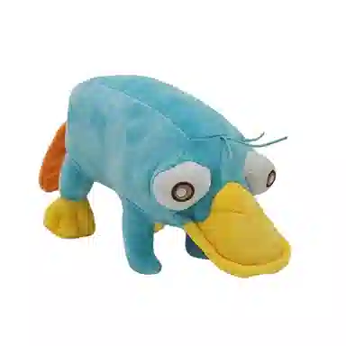 18cm