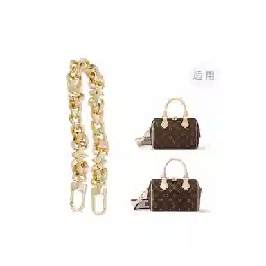 LOUIS VUITTON Speedy 20 diy
