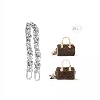 LOUIS VUITTON Speedy 20 diy