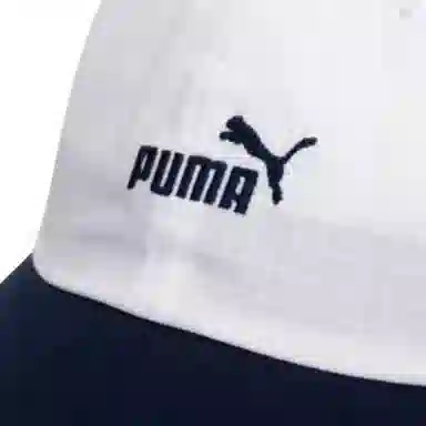 PUMA -