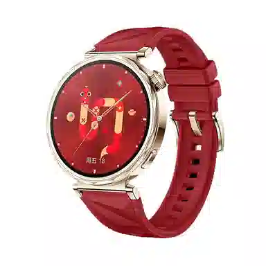 biaodaige watch4rogt5pro