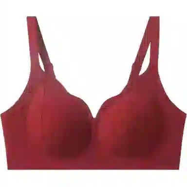 欧迪芬 大胸显小胸聚拢提拉收副乳防下垂文胸 女款