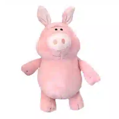 20cm30cm