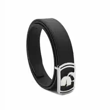 KARL LAGERFELD 3.1CM