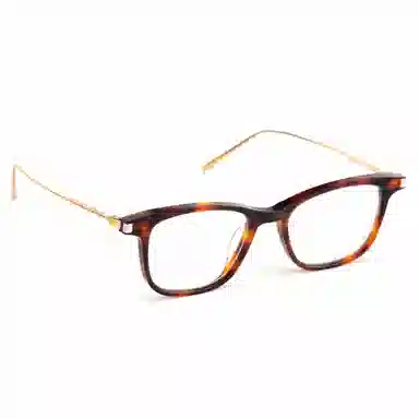 PROTAGO Optical Frame