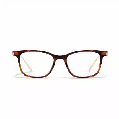 PROTAGO Optical Frame
