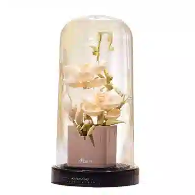 Brangdy 301-600pcs BRA-JM-24