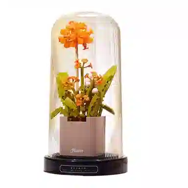 Brangdy 301-600pcs BRA-JM-24