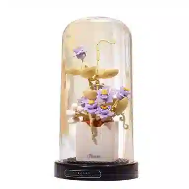 Brangdy 301-600pcs BRA-JM-24