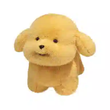 abay 20cm30cm