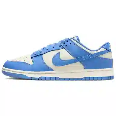 Nike Dunk Low White Blue